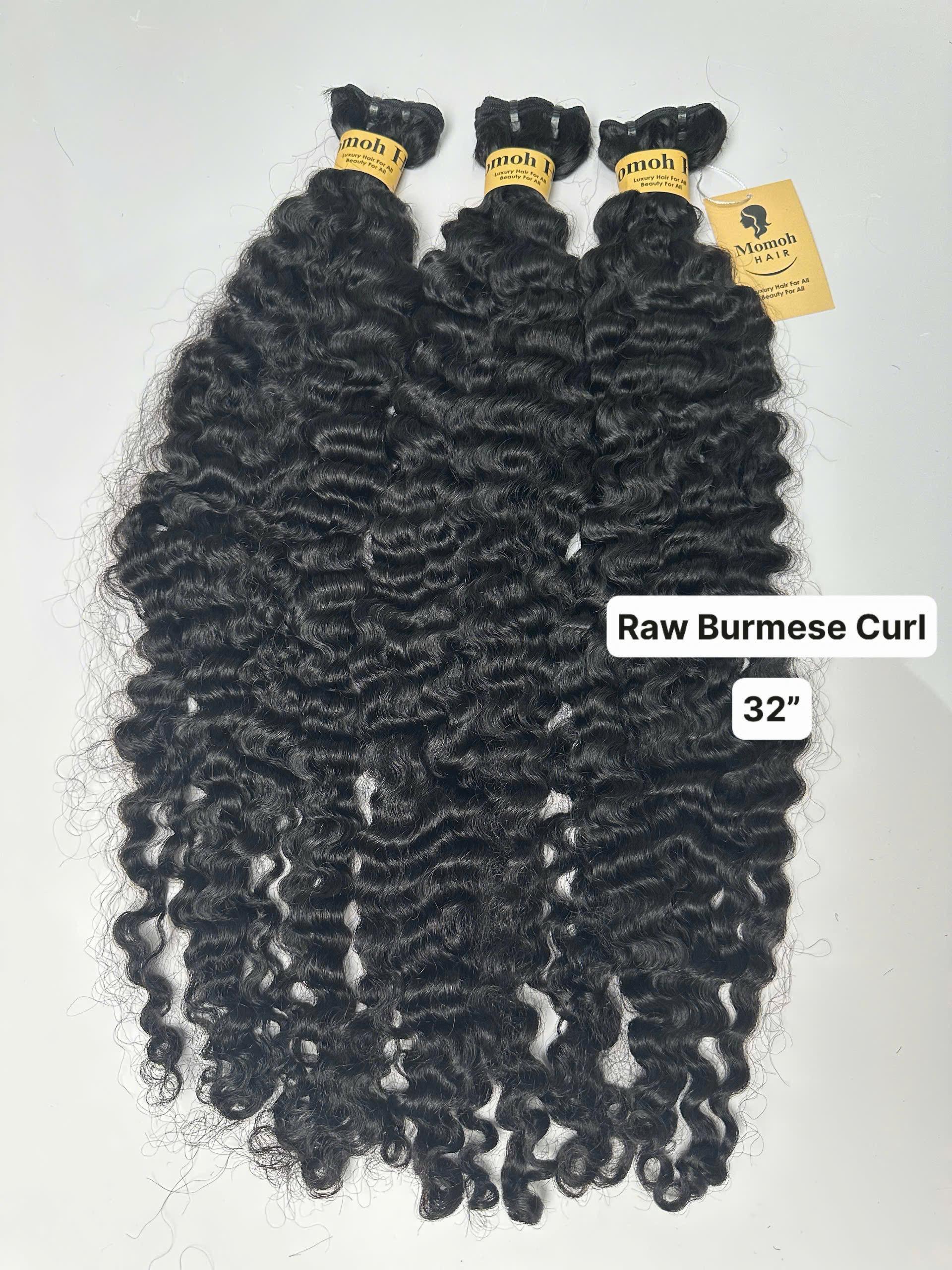 Raw - Burmese Curl