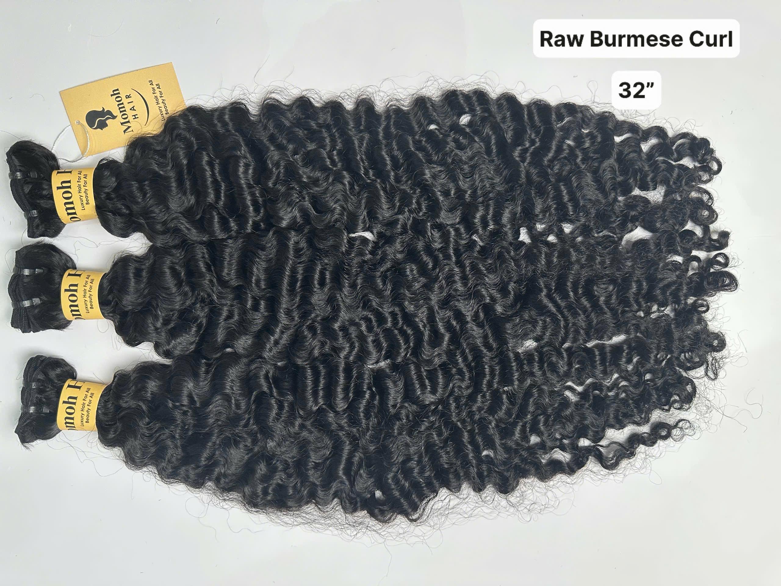 Raw - Burmese Curl